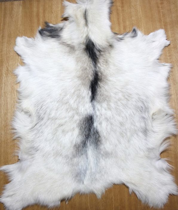 Шкура кози (натуральна)
