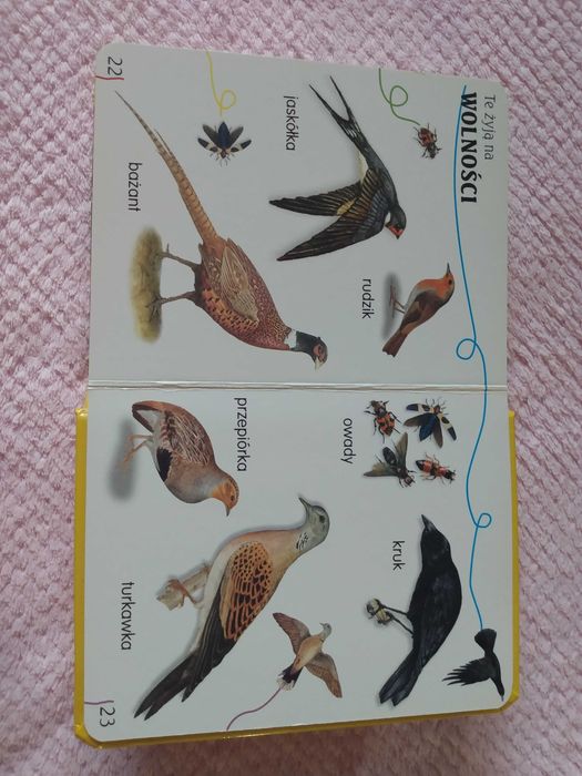 Sprzedam książkę dla dzieci "Zwierzęta żyjące blisko mnie"