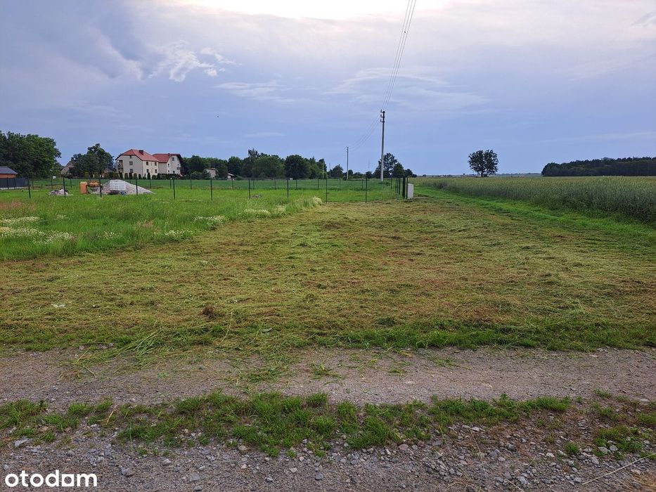 Zdjęcie 5