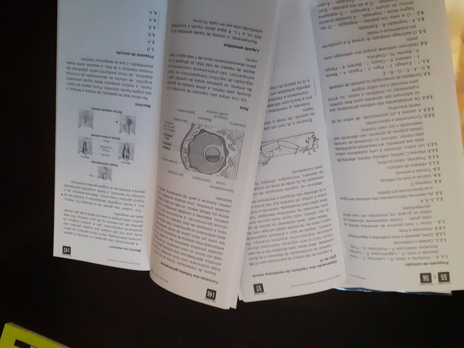 Manual e caderno de Atividades VIVA A TERRA! - Ciências 6º ano