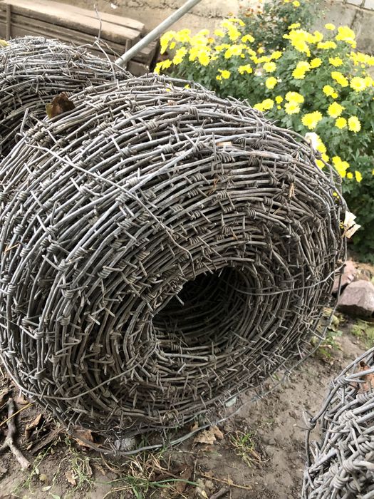 Колюча провалка нова