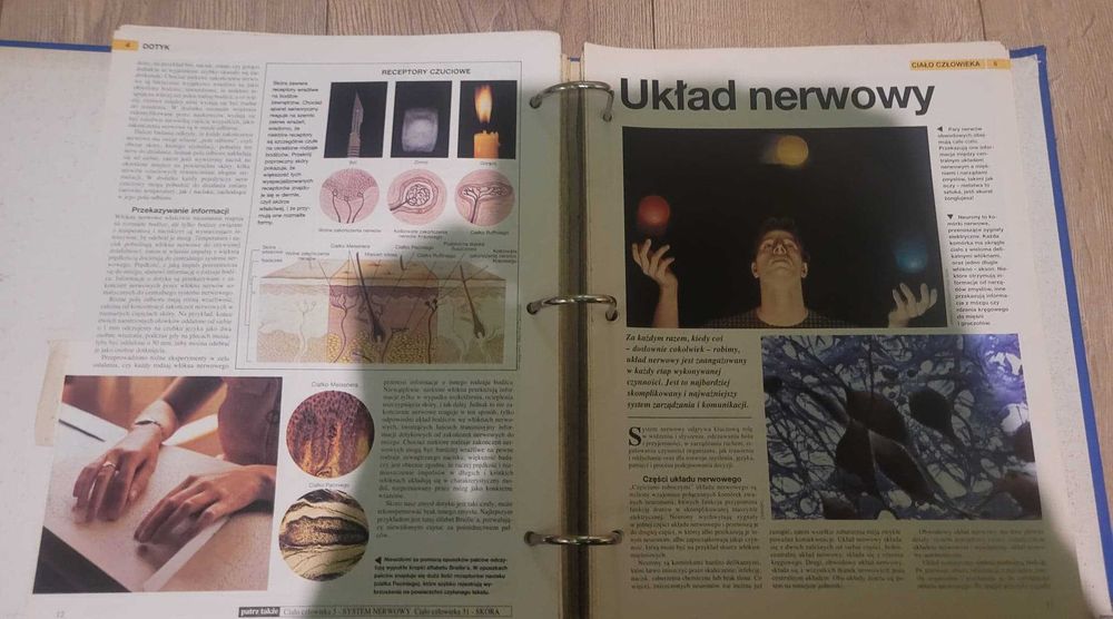 Świat Wiedzy wszystkie numery