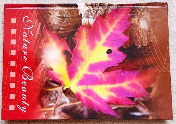 Zeszyt A4 str. 96 twarda okładka.