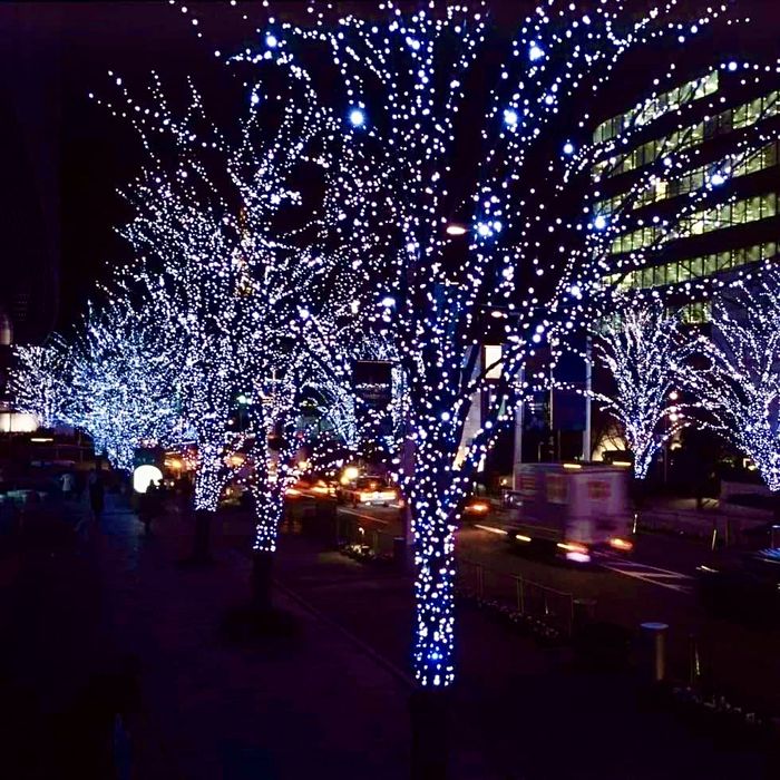 Гірлянда Нитка LED для вулиці, водонепроникна, морозостійка 30, 100м