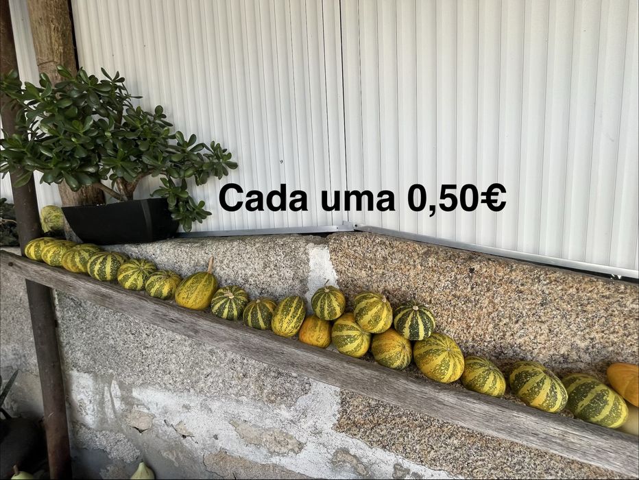 vende se aboboras e cabaças