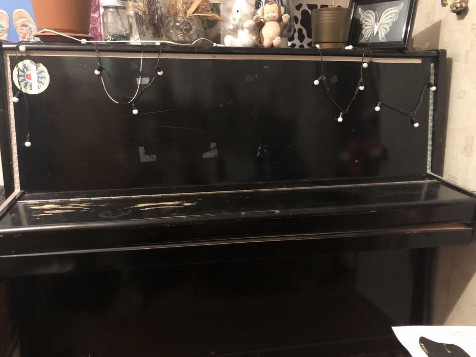 піаніно чайка