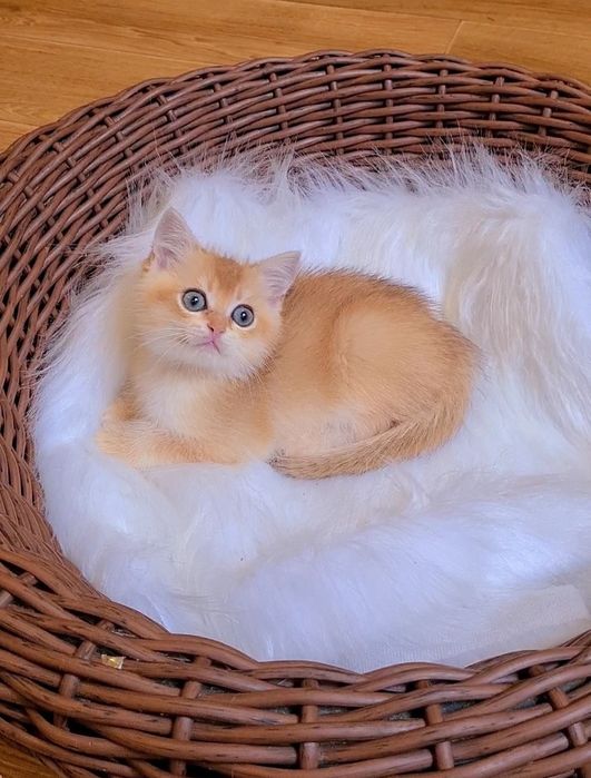 Оочень красивый ласковый мальчик