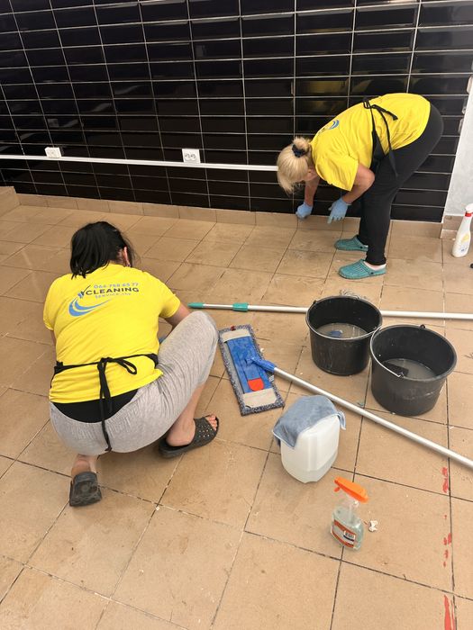 Прибирання/Клінінг/хімчистка/миття вікон/