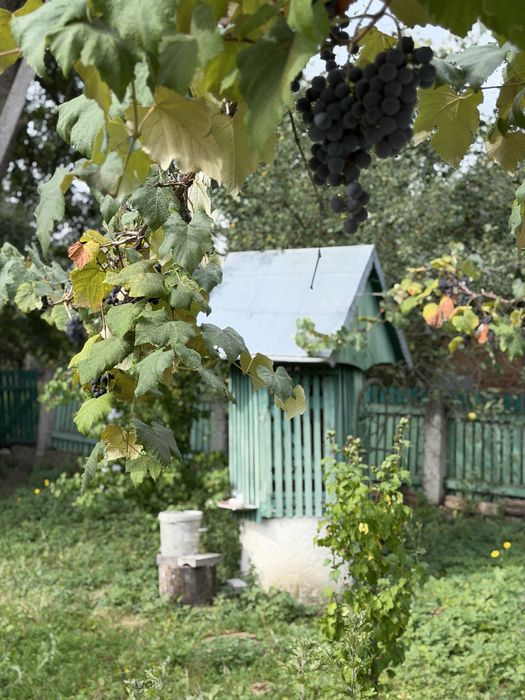 Продається дача, Біля Тлумача
