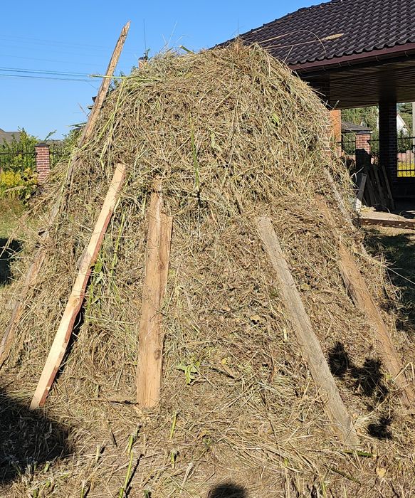 Продам сіно сухе 2025р.