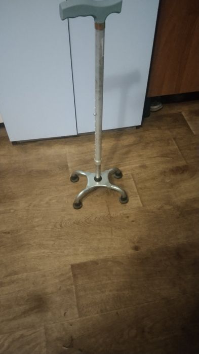 Квадропод вживаний.