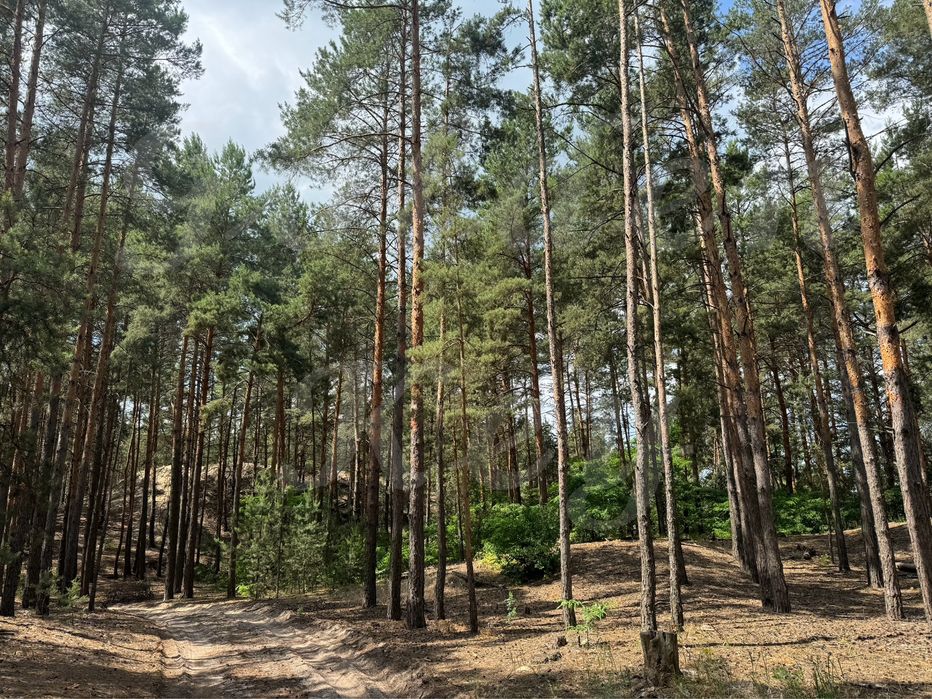 Продам НАЙКРАЩІ ділянки в МАЛЬОВНИЧОМУ місці, 27соток ,с.Проців, ЛІС