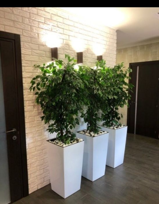 искусственные деревья штучні дерева