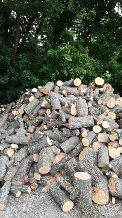 Брикети, дрова, вугілля.