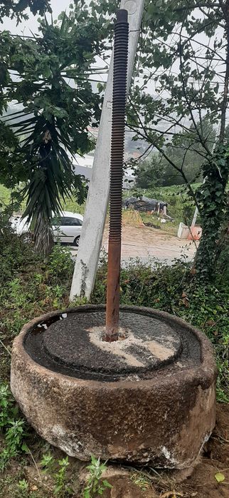 prenssa de uvas para adorno de jardim