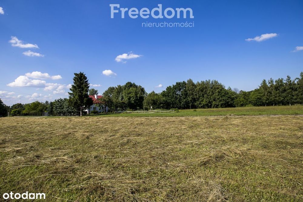 Działka 11,49 ar z Wz, mediami ul. Rodziny Kąkolów - Widok 2