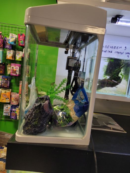 Akwarium 22.5 L z oświetleniem