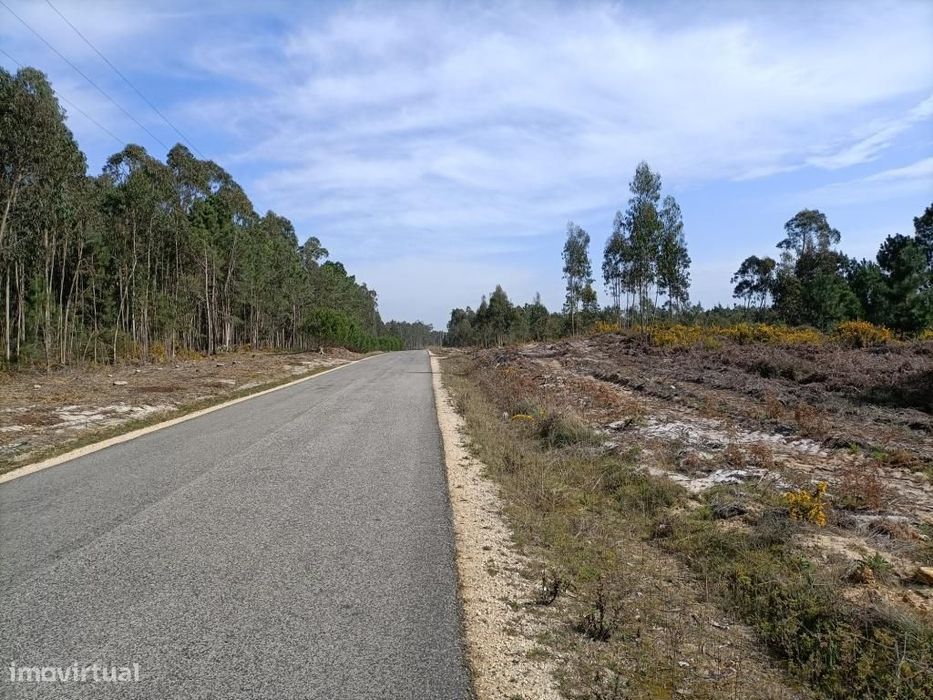 Terreno Serra do Bouro-Caldas da Rainha