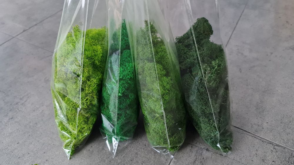 Mech chrobotek reniferowy mix 4x300g