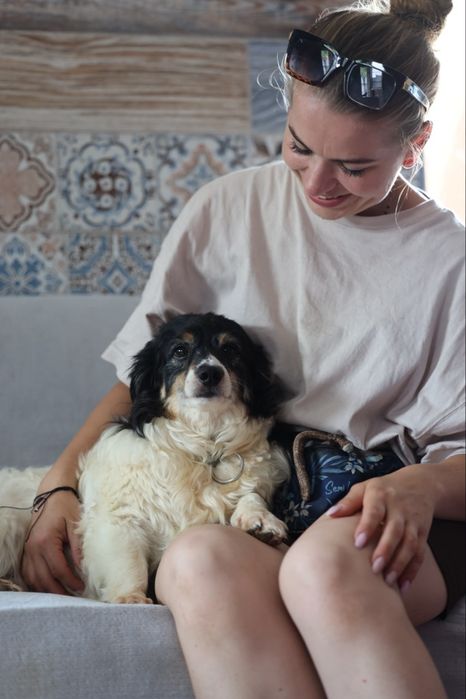Do adopcji sunie i piesek