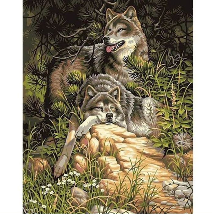 Картина по номерам красками 20*30