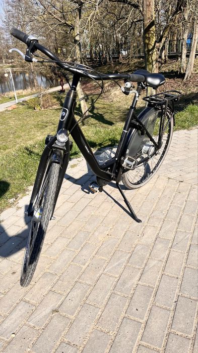 Rower Batavus allround