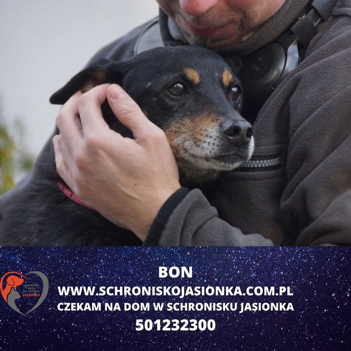 BON do adopcji – Schronisko Jasionka