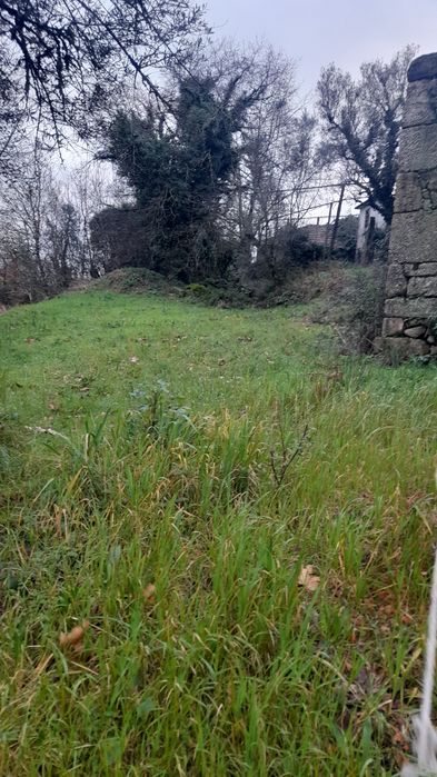 Terreno rustico- celorico de basto