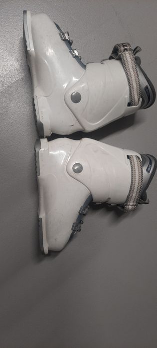 Buty narciarskie Dalbello Aspire 50