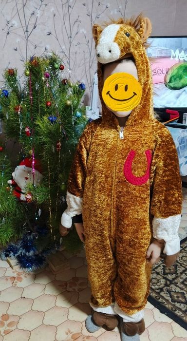 Костюм коника на свято