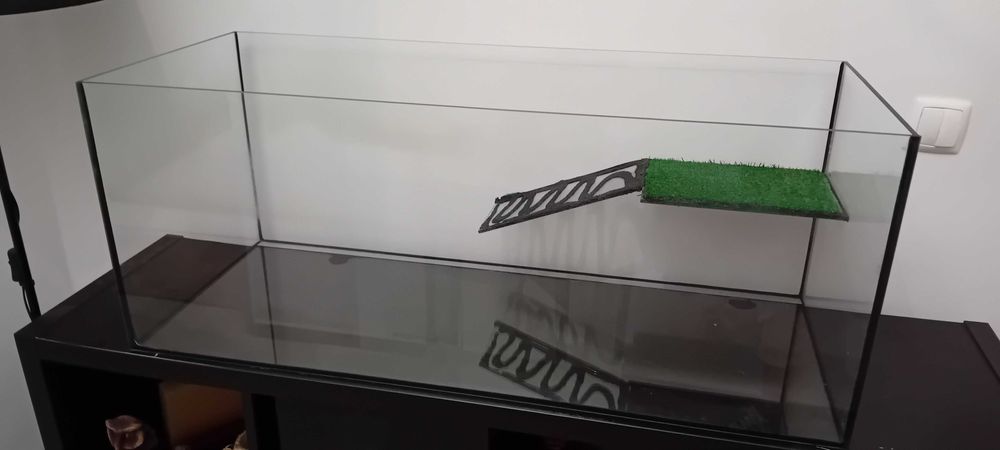 Aquário para tartaruga ou peixes