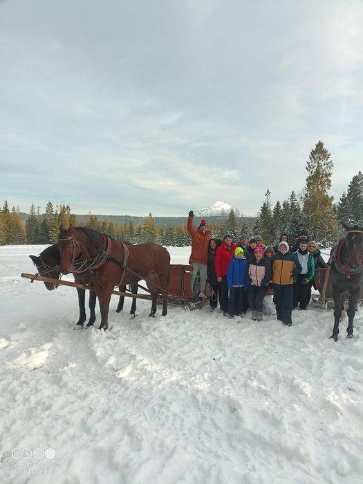 Kuligi Murzasichle ,Poronin,Zakopane