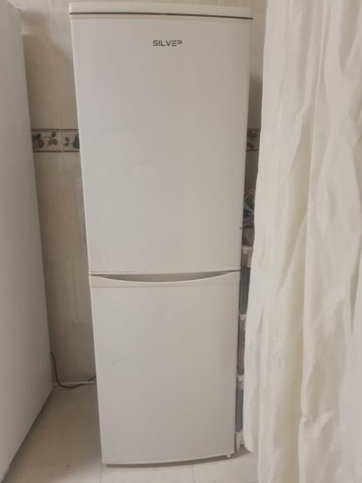 Fregorifico por 100 euros