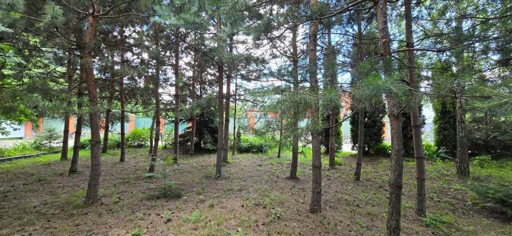 Одноповерховий цегляний будинок 117.3 м², 22 сот, басейн, 2 гаражі