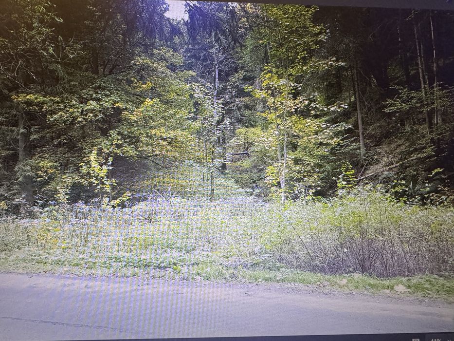 sprzedam działkę  600m Potoczek gmina Międzylesie Nysa Kłodzka