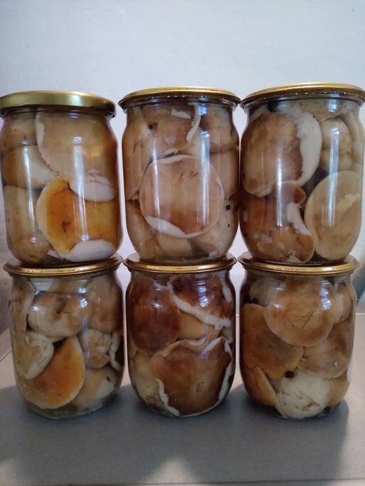 Гриби мариновані, вареня чорниці ,сушені та квашені . Гриби — купити