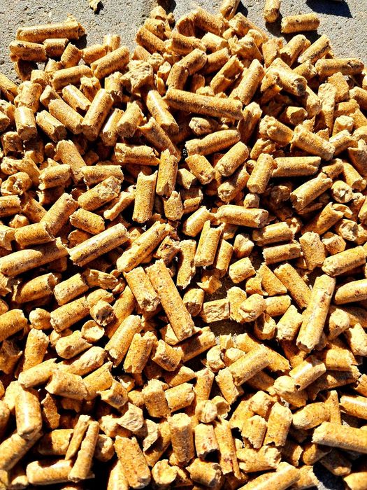 Sprzedaż Pelletu DREWAR – najwyższa jakość ENPLUS A1 Premium Dowóz