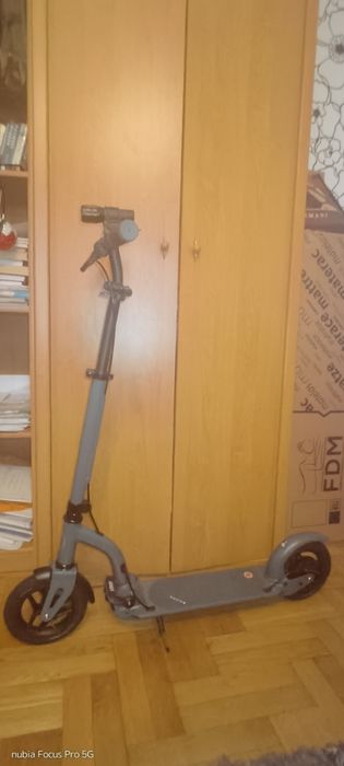 Hulajnoga Movino City Scooter