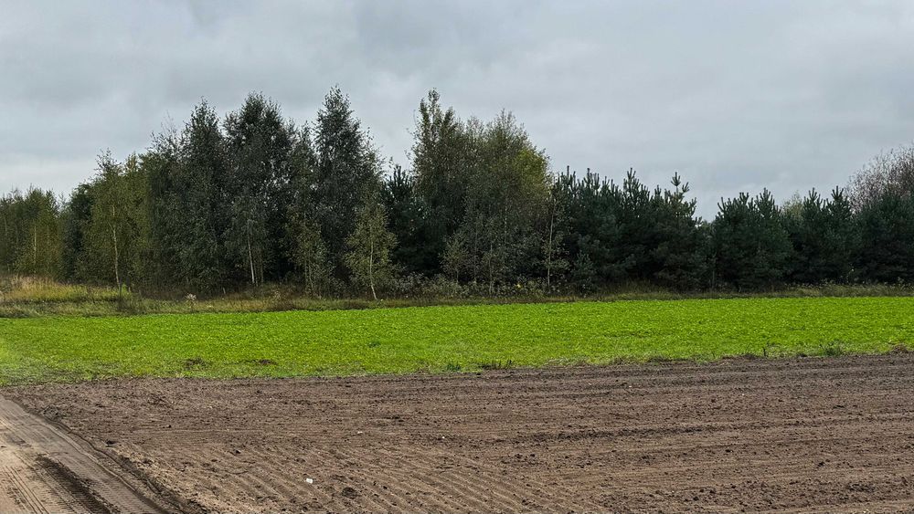 działki ze zbiornikiem wodnym – 10 ha – Młyniec Pierwszy, gm. Lubicz