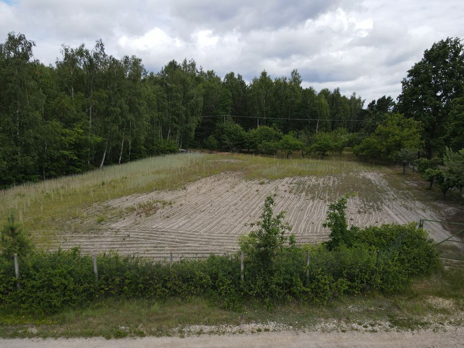 Działka budowlana 7800m2. Puszcza Kozienicka