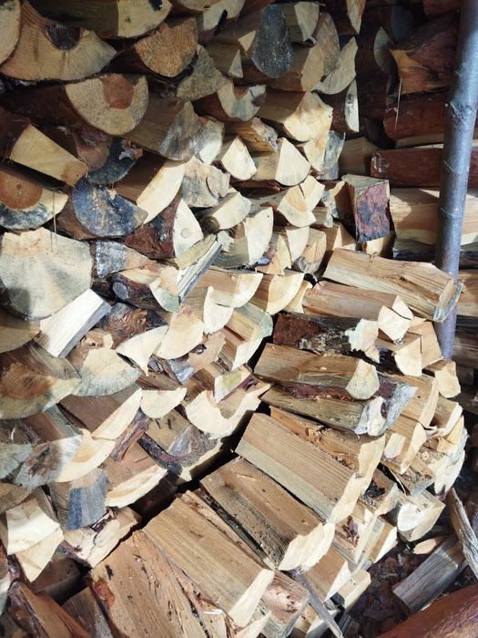Drewno kominkowe i opałowe