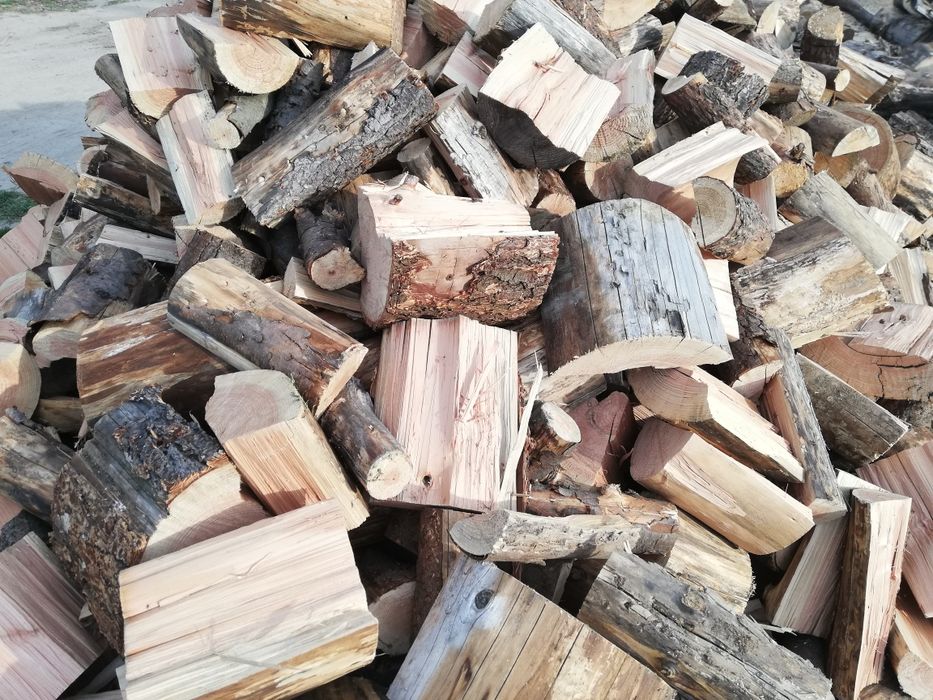 Drewno drzewo opałowe kominkowe