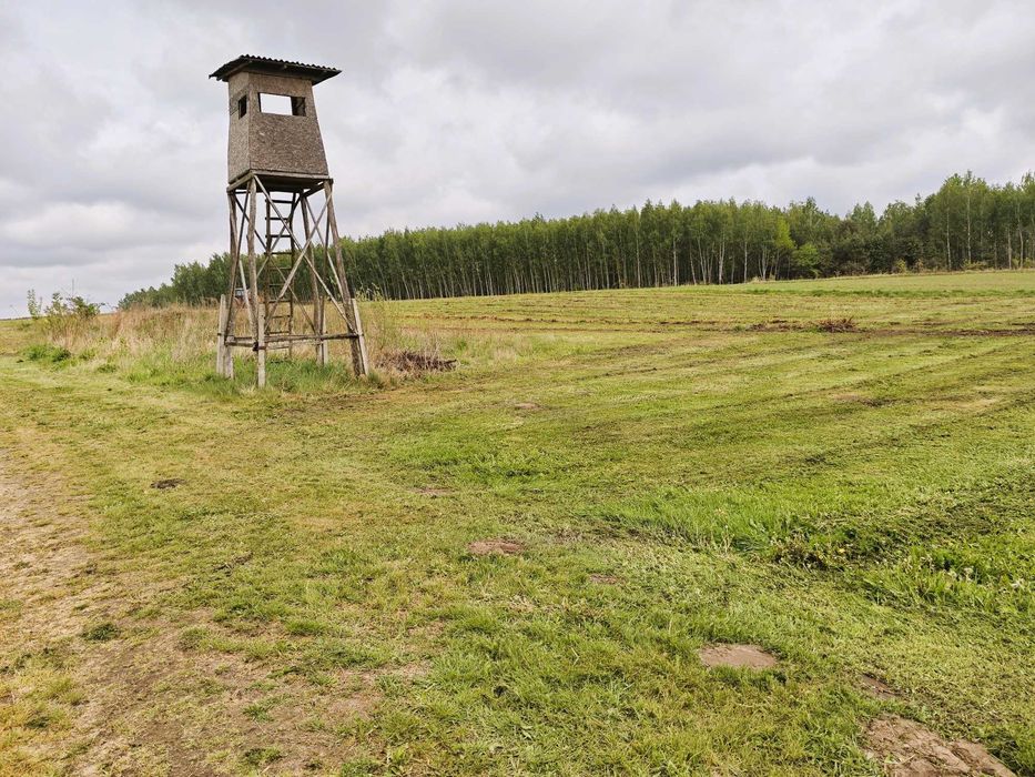 Nieruchomość rolna 2,95 ha Pękoszew, gm. Kowiesy - Widok 4