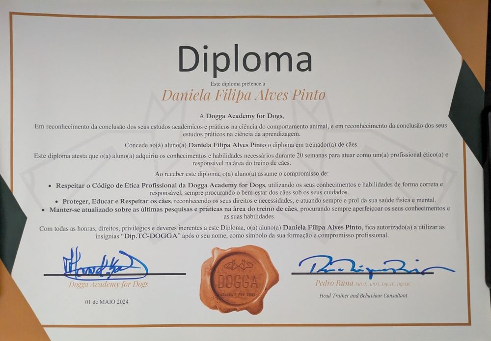 Treino e comportamento canino65565664944003121