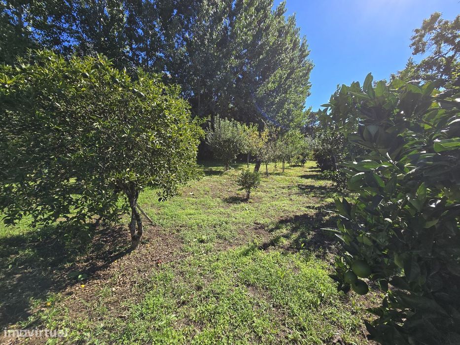 Moradia T5+1 em Ruilhe - 2680m2 de Terreno Privado