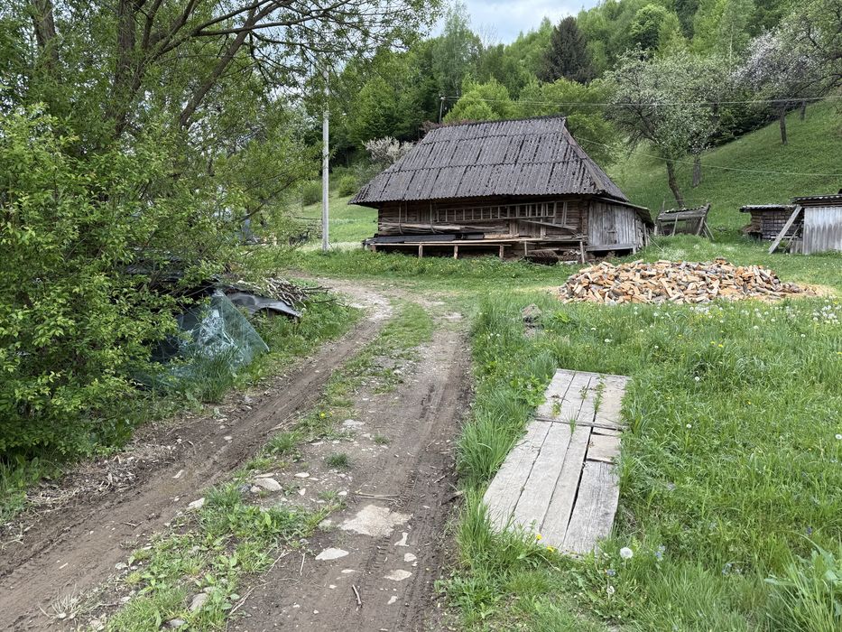 18 соток у Карпатах, с. Запереділля — гори, природа, річка неподалік