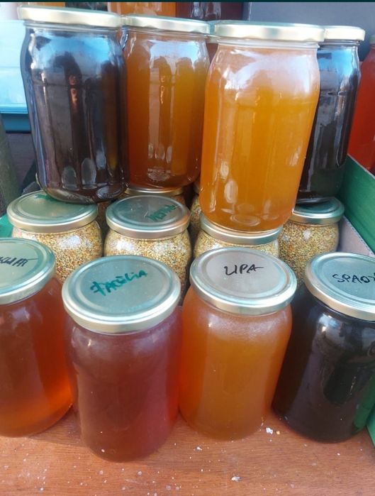 Ekologiczny polski miód  100%