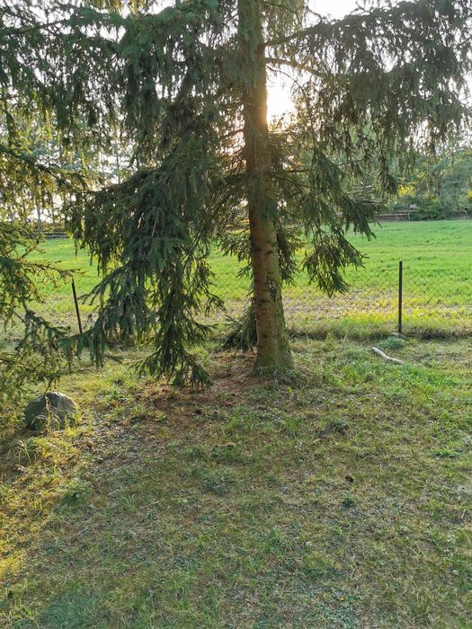domki letniskowe do wynajecia nad jeziorami
