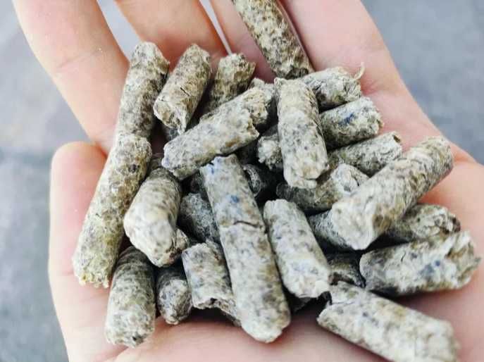 Wysłodki buraczane melasowane, niemelasowane - cena brutto z dostawa