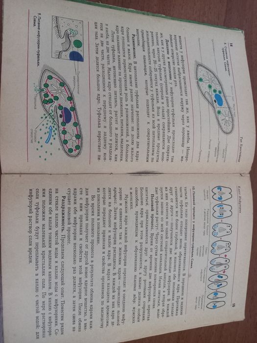 Зоология Наумова 6-7 класс учебник советский 70е-80е